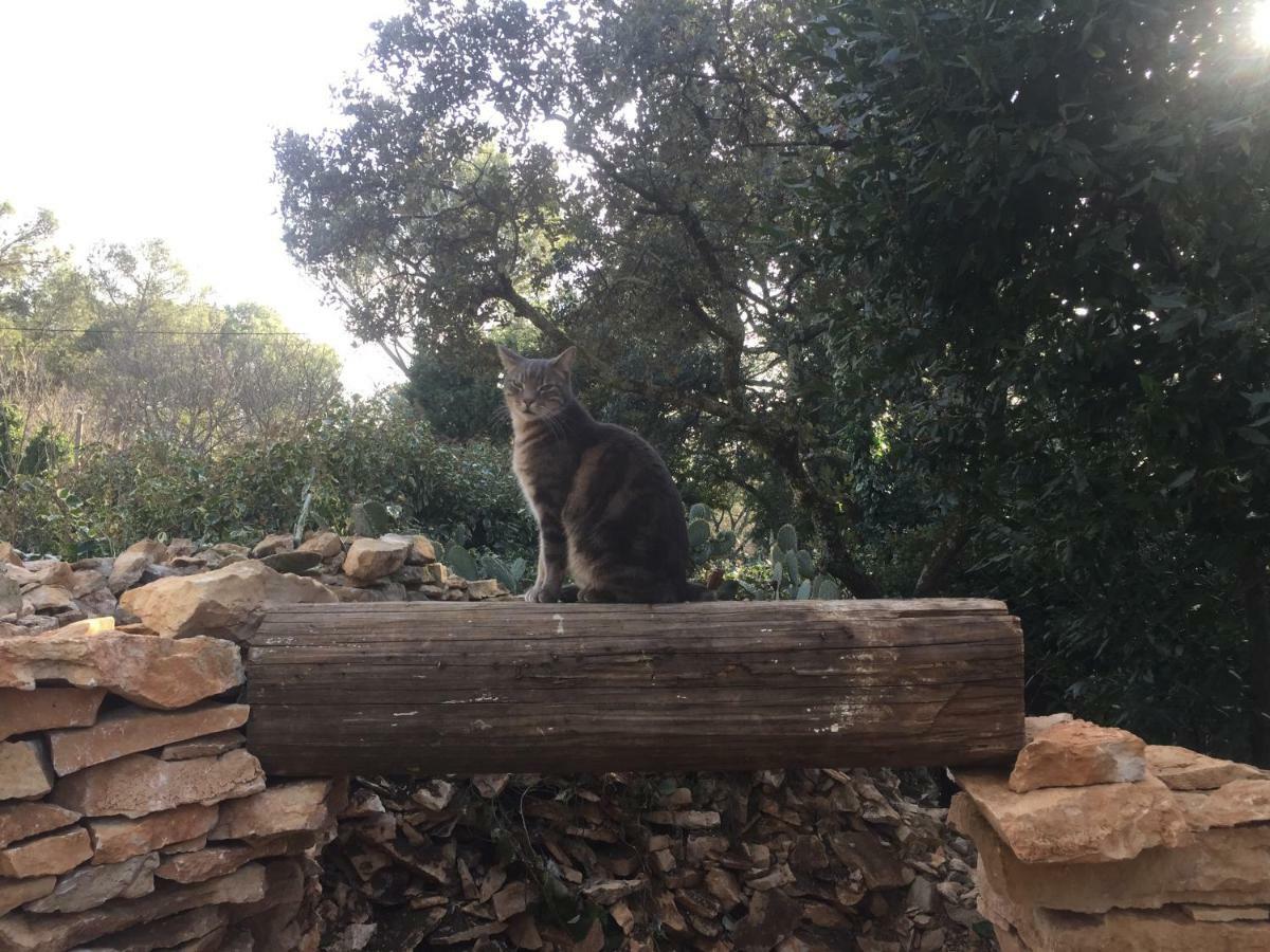 Appartamento Liste Rouge Nîmes Esterno foto